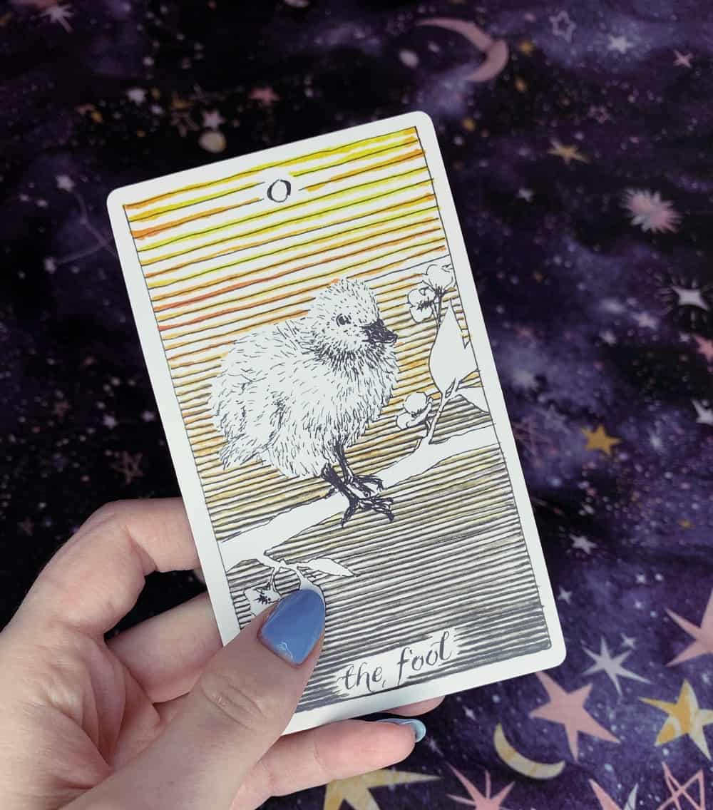 the fool tarot card the wild unknown