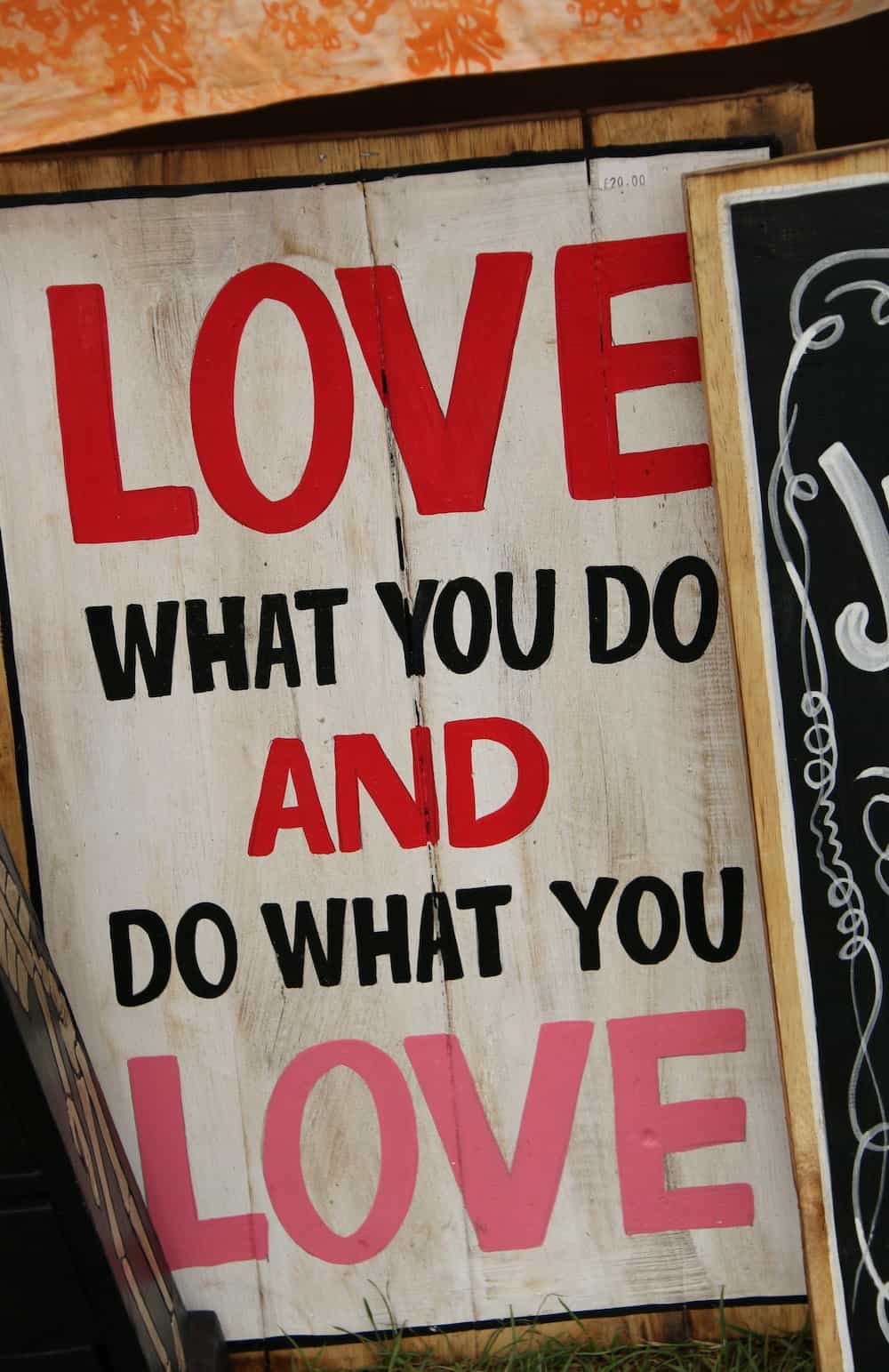 love what you do and do what you love quote