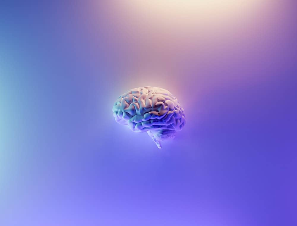 choose a thought manifestation brain on purple background