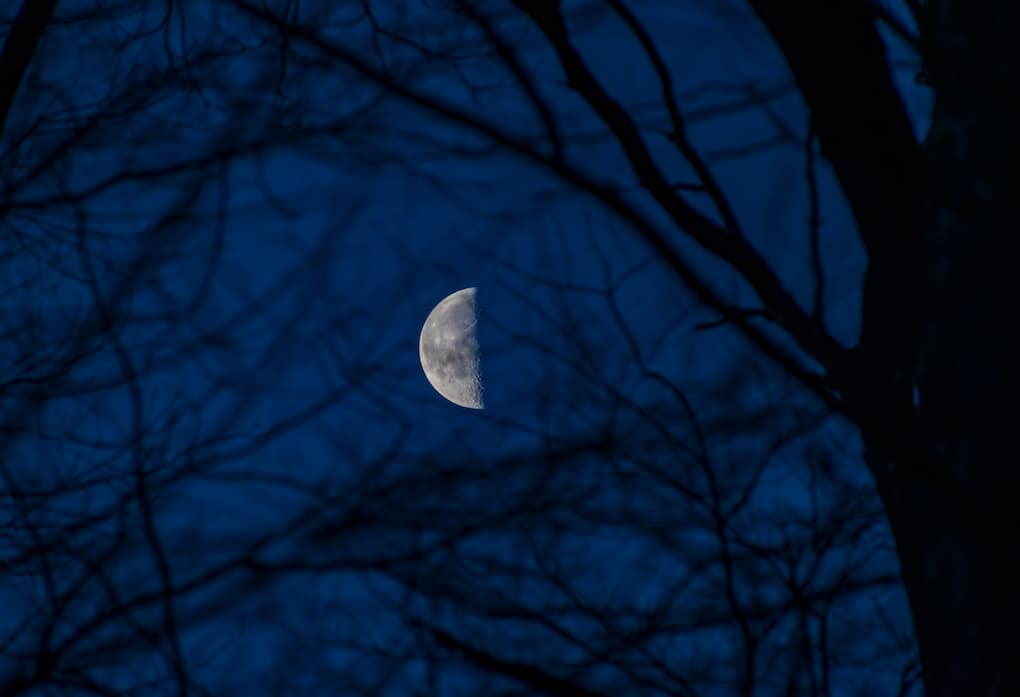 A Guide to Moon Journaling for Sacred Self Care 22 last quarter moon between the trees