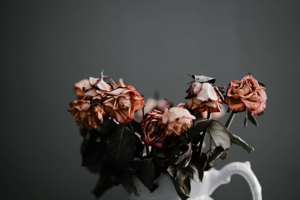 wilting flowers