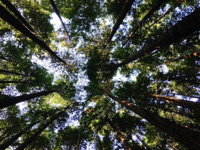 How to Raise Your Vibration to Manifest Faster