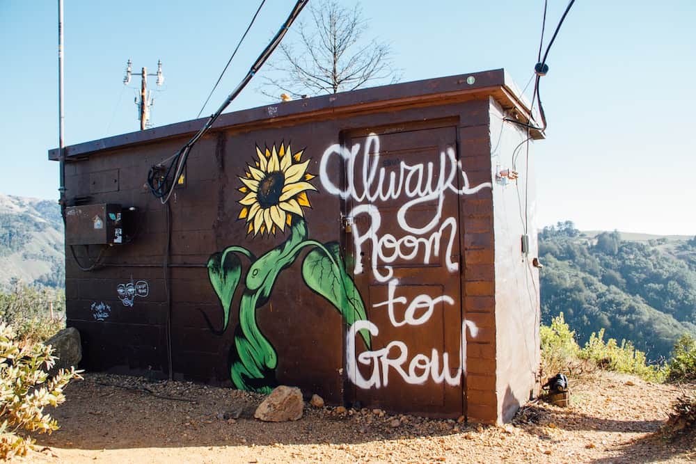 67 New Moon Affirmations for Lunar Living in 2024 7 shed with graffiti art which reads "always room to grow"