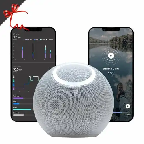 Reflect Orb: Biofeedback Device for Anxiety Relief and Relaxation