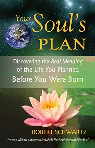 60. Your Soul's Plan: Discovering the Real Meaning of the Life You Planned Before You Were Born - Robert Schwartz