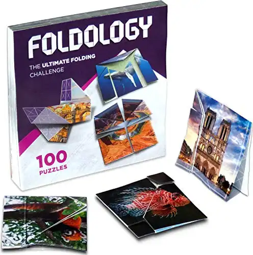 FOLDOLOGY - The Origami Puzzle Game! Hands-On Folding Brain Teasers